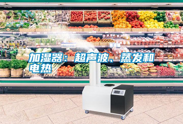 加濕器：超聲波、蒸發(fā)和電熱