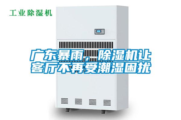 廣東暴雨，除濕機讓客廳不再受潮濕困擾