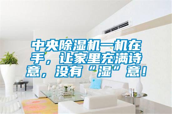 中央除濕機(jī)一機(jī)在手，讓家里充滿詩意，沒有“濕”意！