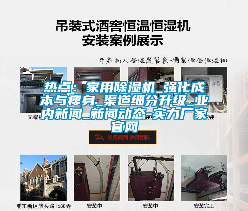 熱點：家用除濕機_強化成本與瘦身_渠道細(xì)分升級_業(yè)內(nèi)新聞_新聞動態(tài)-實力廠家官網(wǎng)