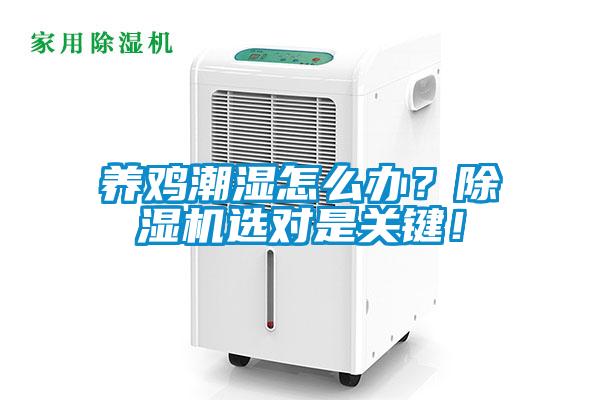 養(yǎng)雞潮濕怎么辦？除濕機(jī)選對是關(guān)鍵！