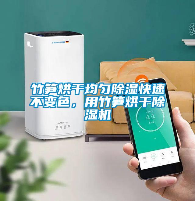 竹筍烘干均勻除濕快速不變色，用竹筍烘干除濕機