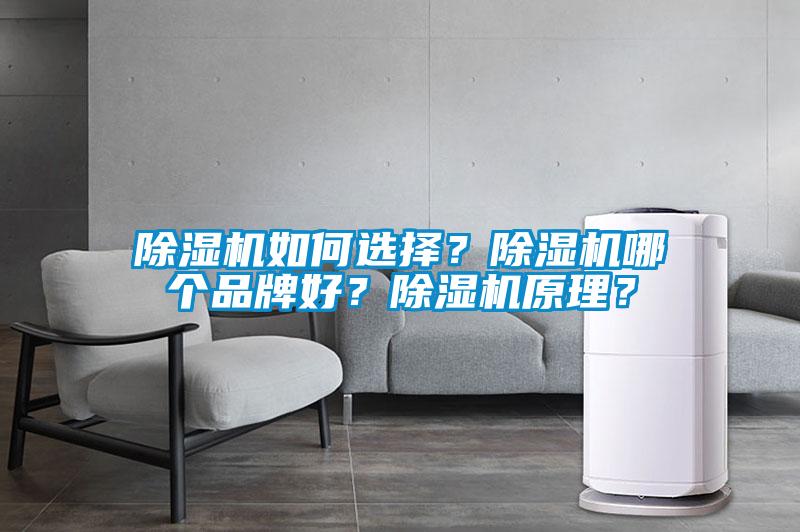 除濕機(jī)如何選擇？除濕機(jī)哪個(gè)品牌好？除濕機(jī)原理？