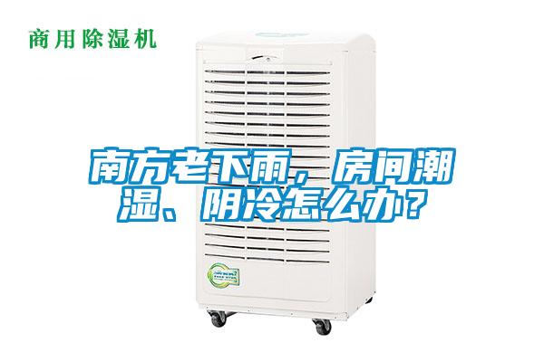 南方老下雨，房間潮濕、陰冷怎么辦？