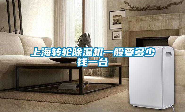 上海轉(zhuǎn)輪除濕機(jī)一般要多少錢(qián)一臺(tái)