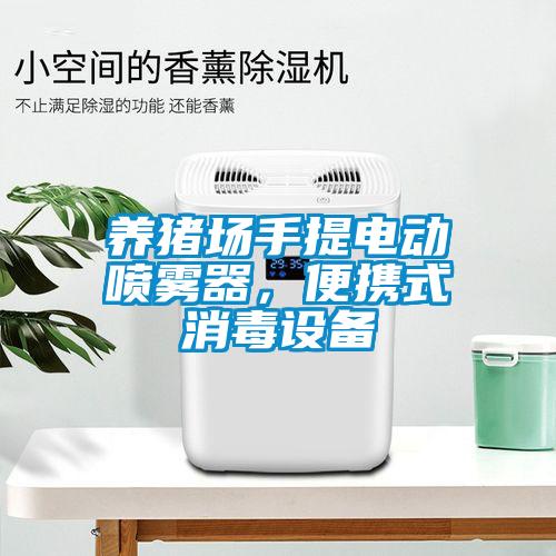 養(yǎng)豬場(chǎng)手提電動(dòng)噴霧器，便攜式消毒設(shè)備