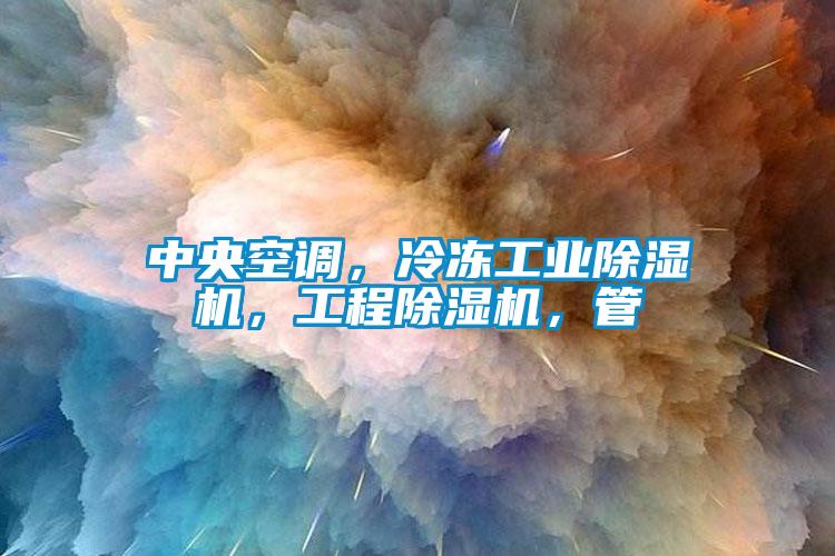 中央空調(diào)，冷凍工業(yè)除濕機(jī)，工程除濕機(jī)，管