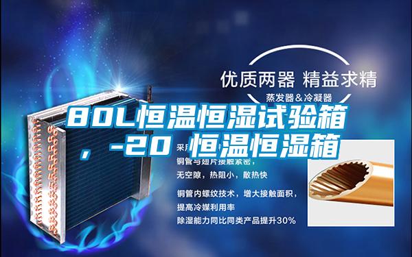 80L恒溫恒濕試驗(yàn)箱，-20℃恒溫恒濕箱