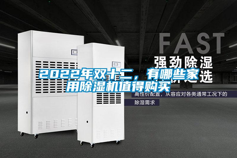 2022年雙十二，有哪些家用除濕機(jī)值得購(gòu)買