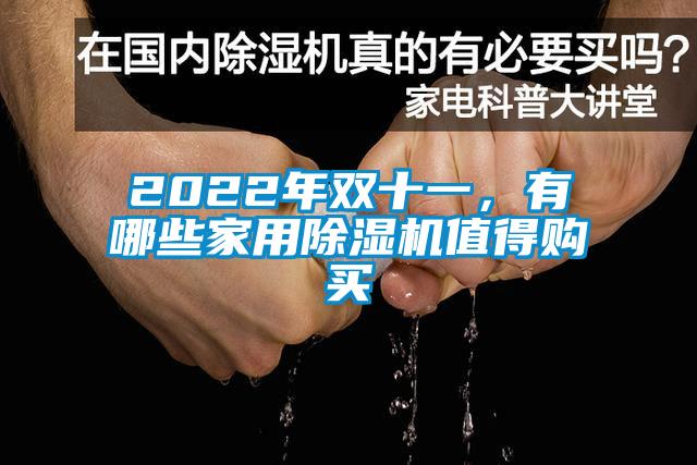 2022年雙十一，有哪些家用除濕機(jī)值得購買