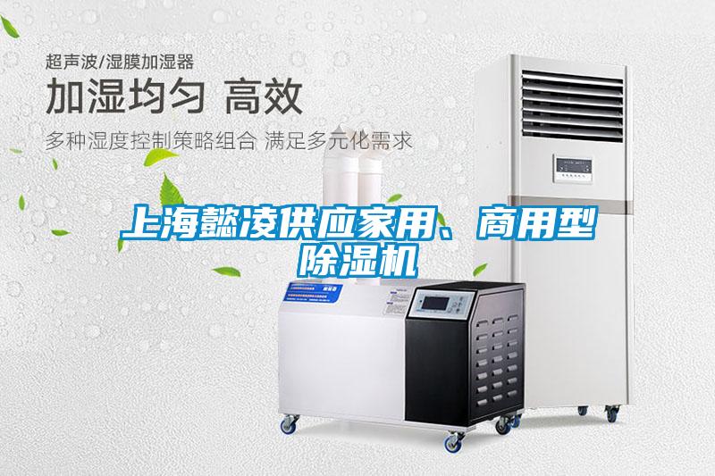 上海懿凌供應(yīng)家用、商用型除濕機(jī)