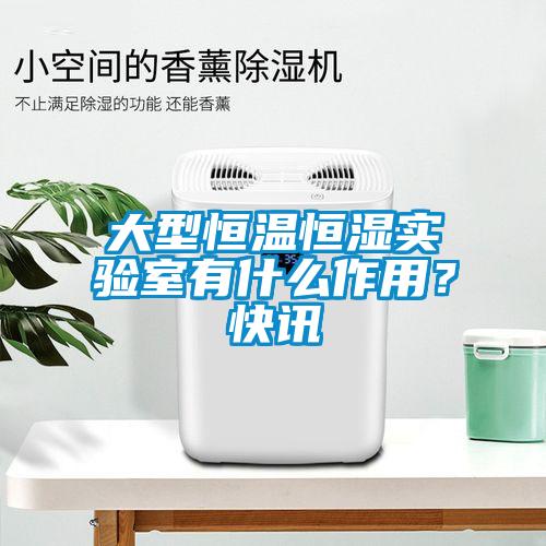 大型恒溫恒濕實驗室有什么作用？快訊