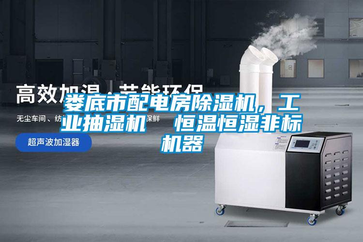 婁底市配電房除濕機(jī)，工業(yè)抽濕機(jī)  恒溫恒濕非標(biāo)機(jī)器