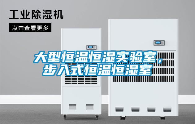 大型恒溫恒濕實(shí)驗(yàn)室，步入式恒溫恒濕室