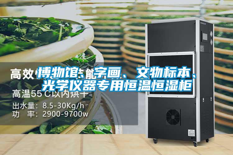 博物館、字畫、文物標(biāo)本、光學(xué)儀器專用恒溫恒濕柜