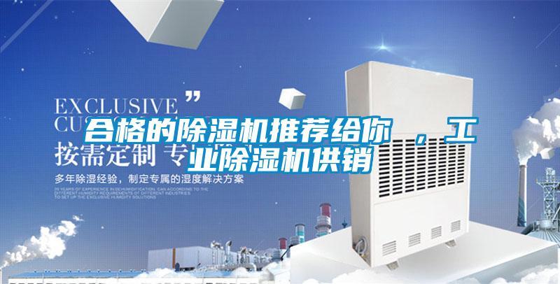 合格的除濕機(jī)推薦給你 ，工業(yè)除濕機(jī)供銷