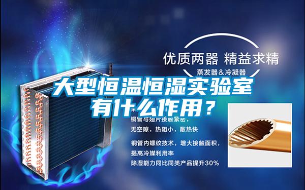 大型恒溫恒濕實(shí)驗(yàn)室有什么作用？