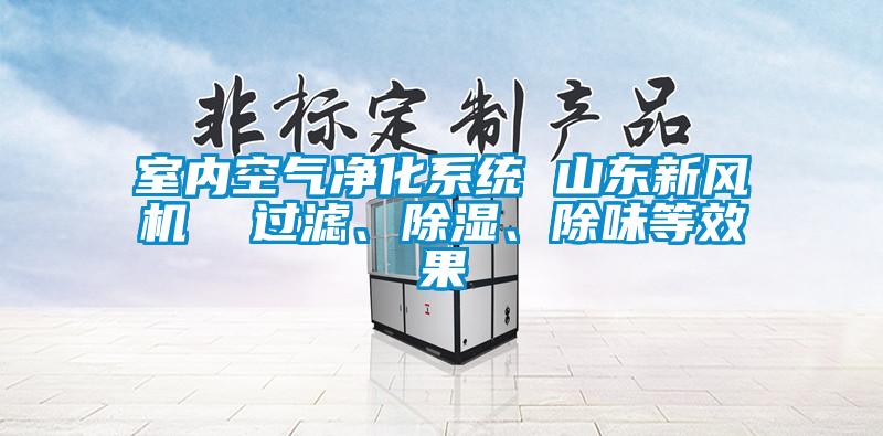 室內(nèi)空氣凈化系統(tǒng) 山東新風(fēng)機(jī)  過濾、除濕、除味等效果