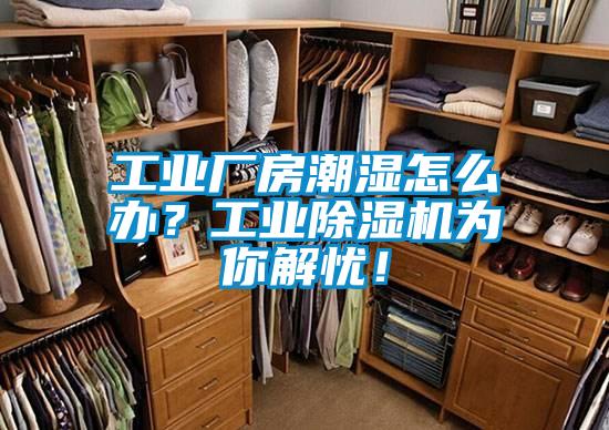 工業(yè)廠房潮濕怎么辦？工業(yè)除濕機為你解憂！