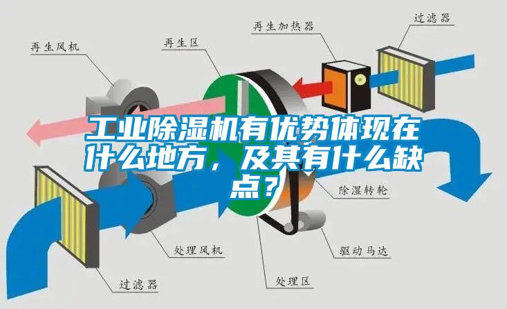 工業(yè)除濕機(jī)有優(yōu)勢體現(xiàn)在什么地方，及其有什么缺點(diǎn)？