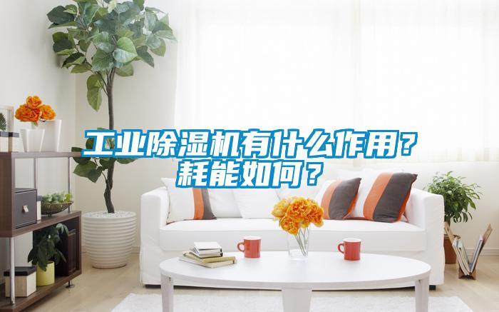 工業(yè)除濕機有什么作用？耗能如何？