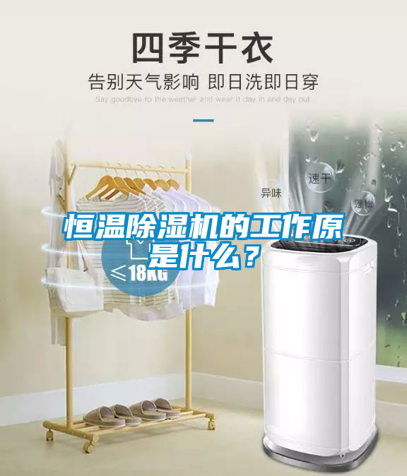 恒溫除濕機的工作原是什么？