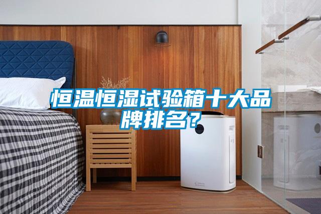 恒溫恒濕試驗(yàn)箱十大品牌排名？