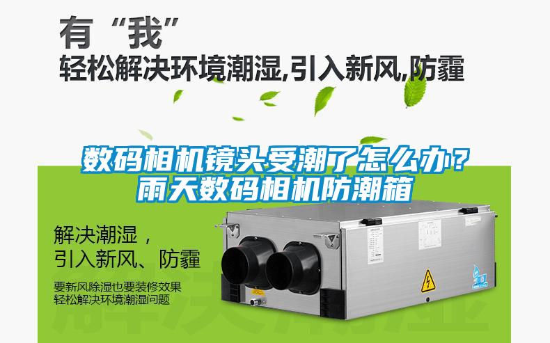數(shù)碼相機(jī)鏡頭受潮了怎么辦？雨天數(shù)碼相機(jī)防潮箱