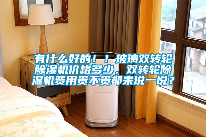 有什么好的??！玻璃雙轉(zhuǎn)輪除濕機(jī)價(jià)格多少，雙轉(zhuǎn)輪除濕機(jī)費(fèi)用貴不貴都來(lái)說(shuō)一說(shuō)？