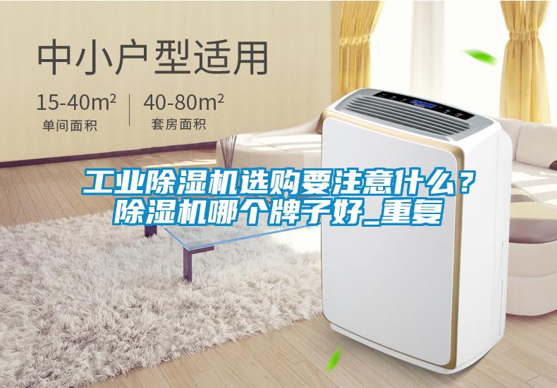 工業(yè)除濕機選購要注意什么？除濕機哪個牌子好_重復(fù)