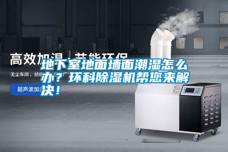 地下室地面墻面潮濕怎么辦？環(huán)科除濕機(jī)幫您來解決！
