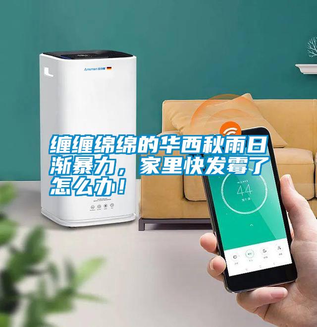 纏纏綿綿的華西秋雨日漸暴力，家里快發(fā)霉了怎么辦！