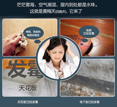 除濕機除濕效率怎么看才正確？