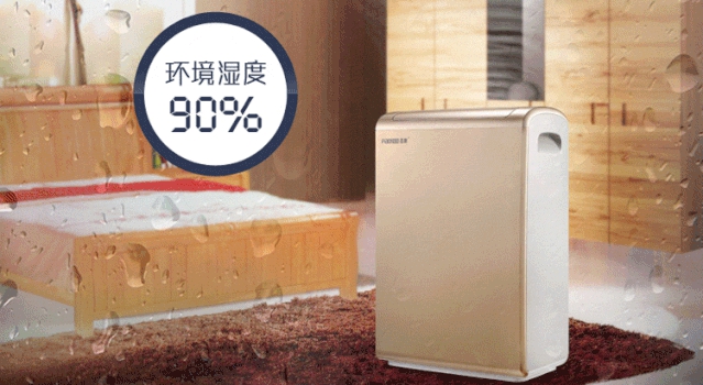 秋季陰雨連綿，如何防治家具潮濕？
