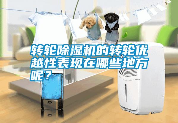 轉(zhuǎn)輪除濕機的轉(zhuǎn)輪優(yōu)越性表現(xiàn)在哪些地方呢？