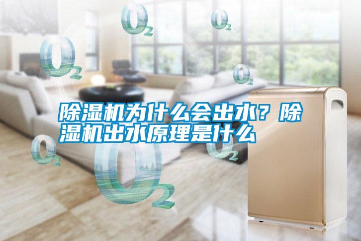 除濕機(jī)為什么會(huì)出水？除濕機(jī)出水原理是什么