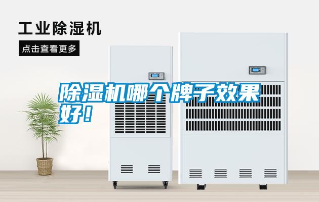 除濕機(jī)哪個(gè)牌子效果好！