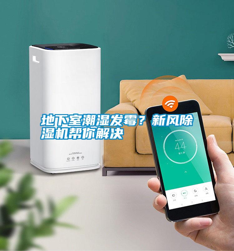 地下室潮濕發(fā)霉？新風(fēng)除濕機(jī)幫你解決
