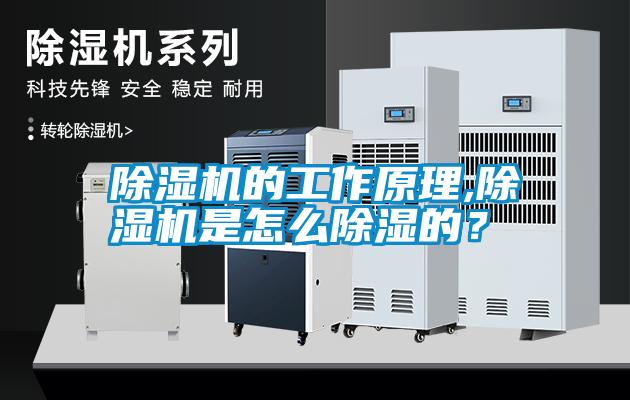除濕機(jī)的工作原理,除濕機(jī)是怎么除濕的？