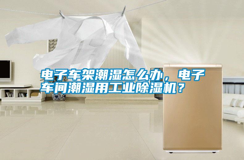 電子車(chē)架潮濕怎么辦，電子車(chē)間潮濕用工業(yè)除濕機(jī)？