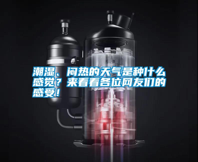 潮濕、悶熱的天氣是種什么感覺？來看看各位網(wǎng)友們的感受！