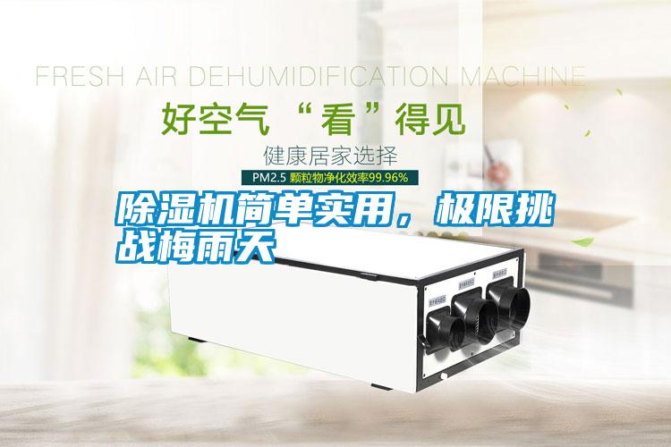 除濕機簡單實用，極限挑戰(zhàn)梅雨天
