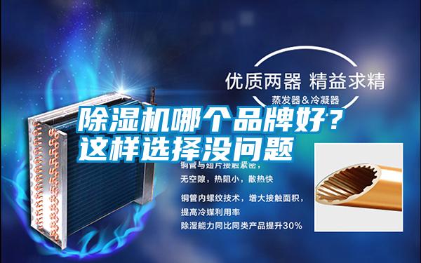 除濕機(jī)哪個(gè)品牌好？這樣選擇沒問題