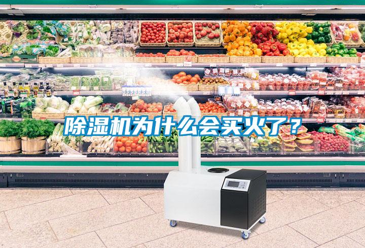 除濕機為什么會買火了？