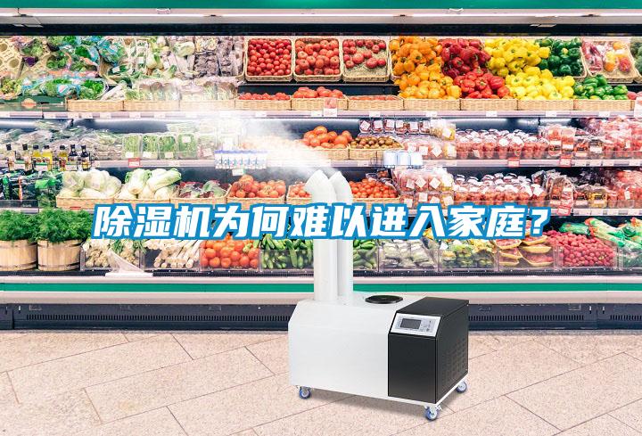 除濕機(jī)為何難以進(jìn)入家庭？