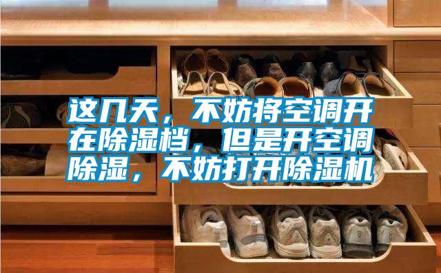 這幾天，不妨將空調(diào)開在除濕檔，但是開空調(diào)除濕，不妨打開除濕機(jī)