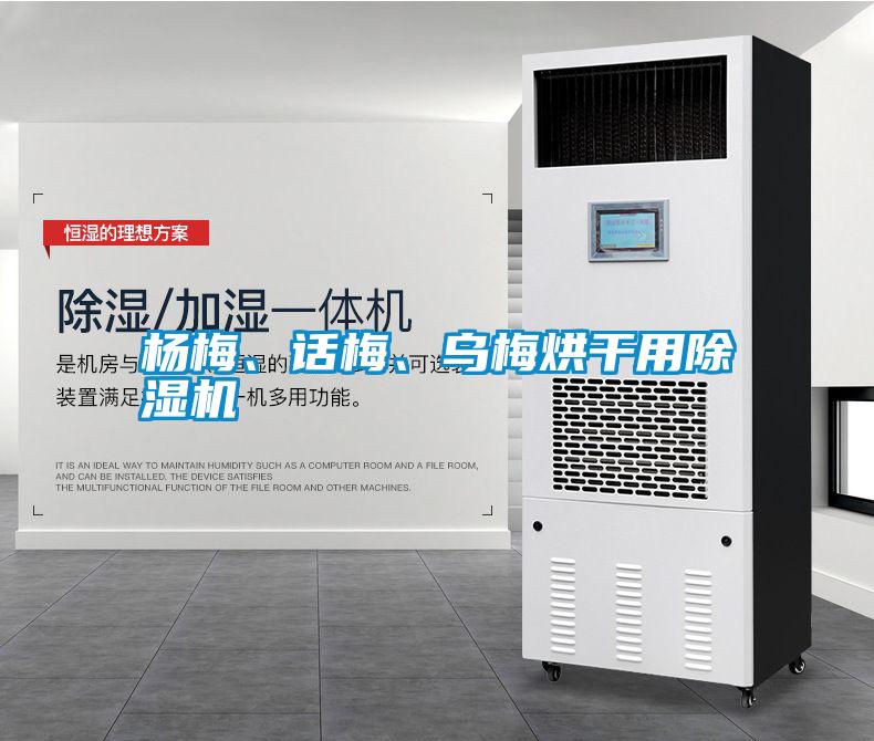 楊梅、話梅、烏梅烘干用除濕機(jī)
