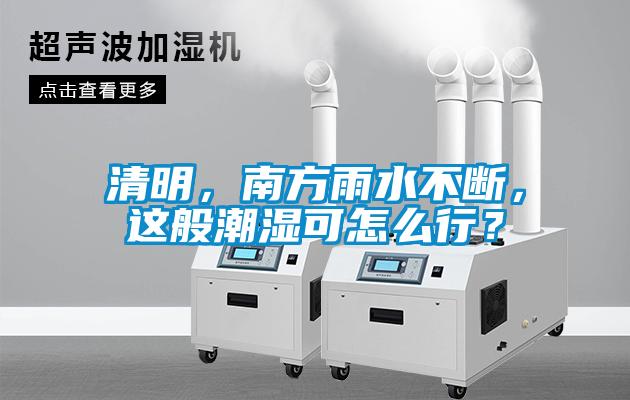 清明，南方雨水不斷，這般潮濕可怎么行？