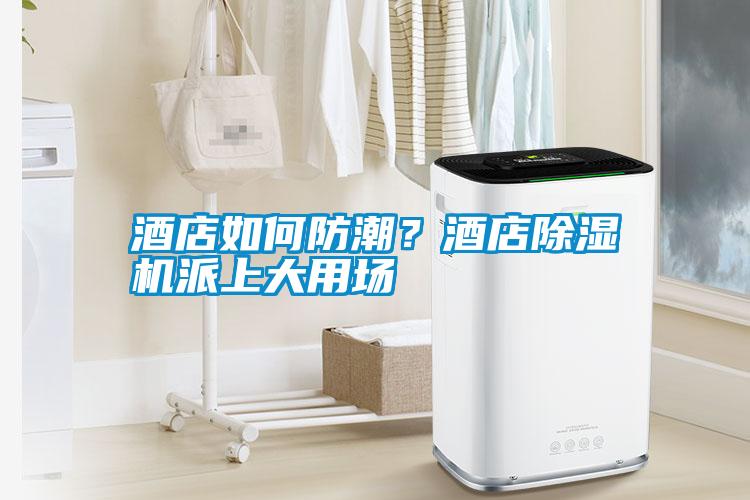 酒店如何防潮？酒店除濕機(jī)派上大用場(chǎng)