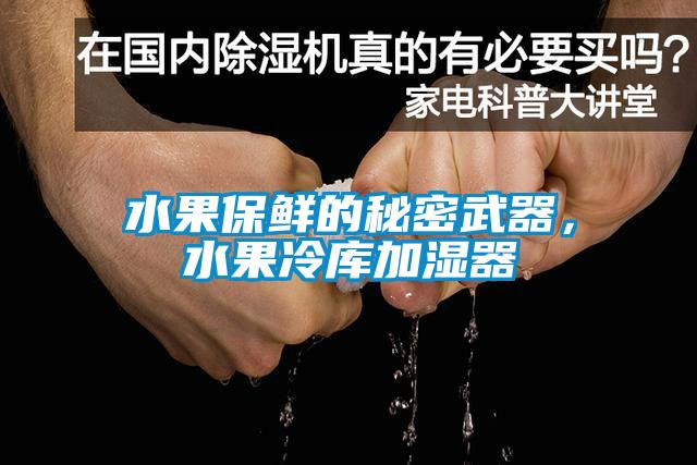 水果保鮮的秘密武器，水果冷庫(kù)加濕器
